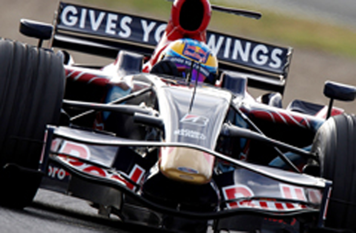 TORO ROSSO TORO ROSSO