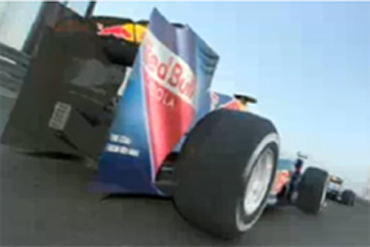 レッドブル RB5 リアウイング レッドブル RB5 リアウイング