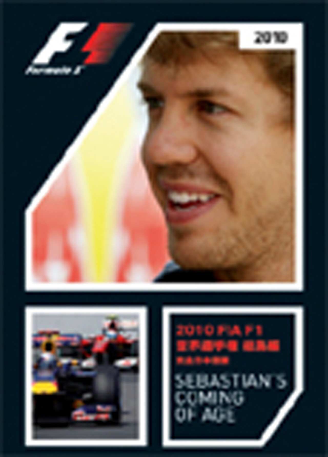 2010 FIA F1世界選手権総集編 完全日本語版 DVD