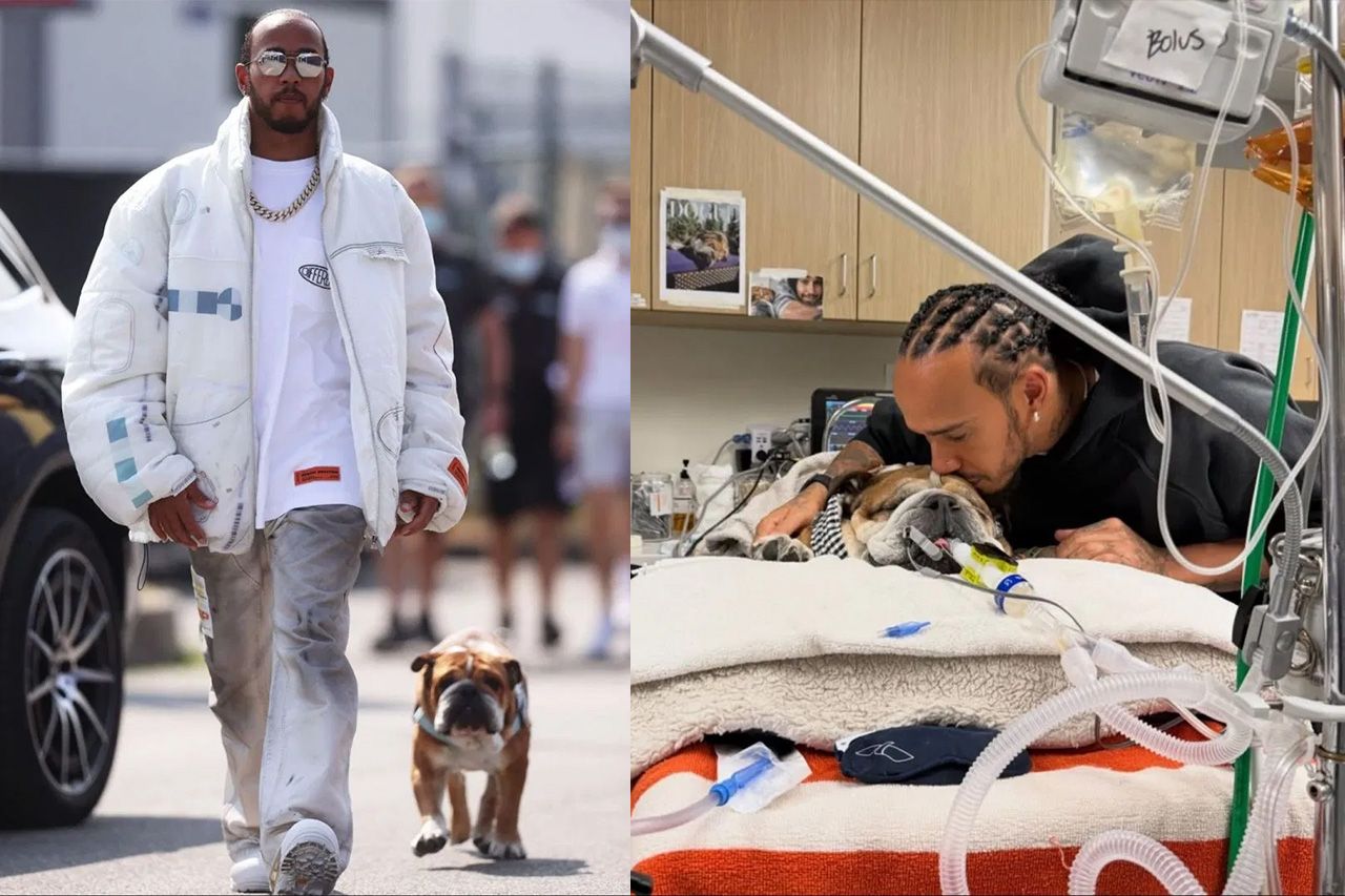 ルイス・ハミルトン 愛犬ロスコー昏睡状態に世話役「勝利を信じて祈りましょう」