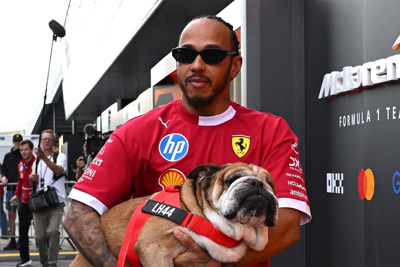 ルイス・ハミルトンとロスコー