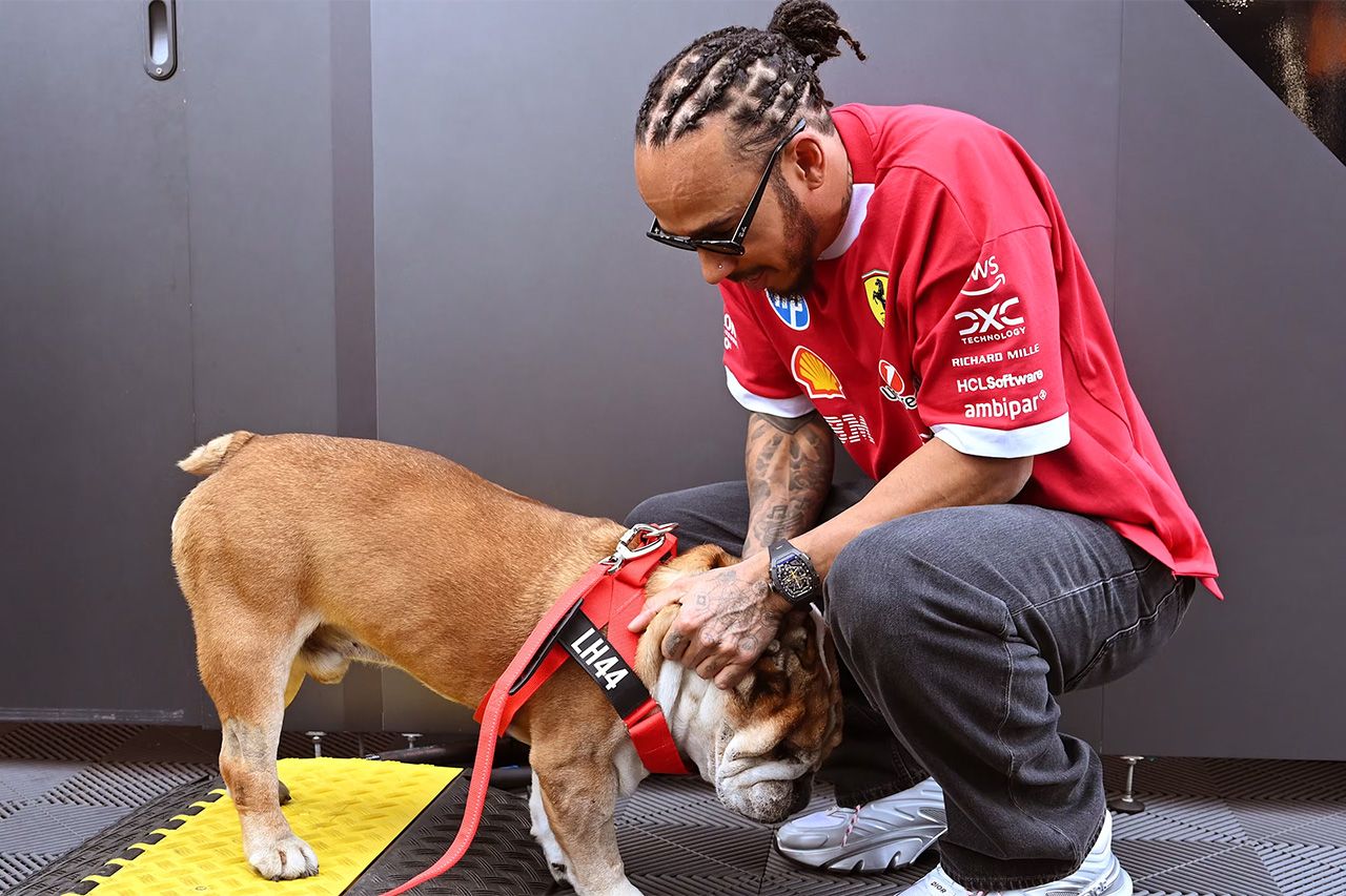 ルイス・ハミルトン F1 ロスコー