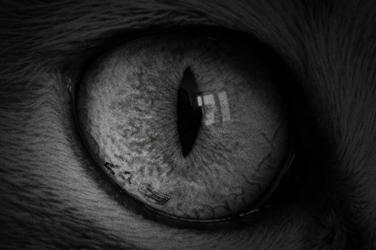 キャデラックF1が周冠宇を匂わす“意味深投稿” 1月5日に発表予告