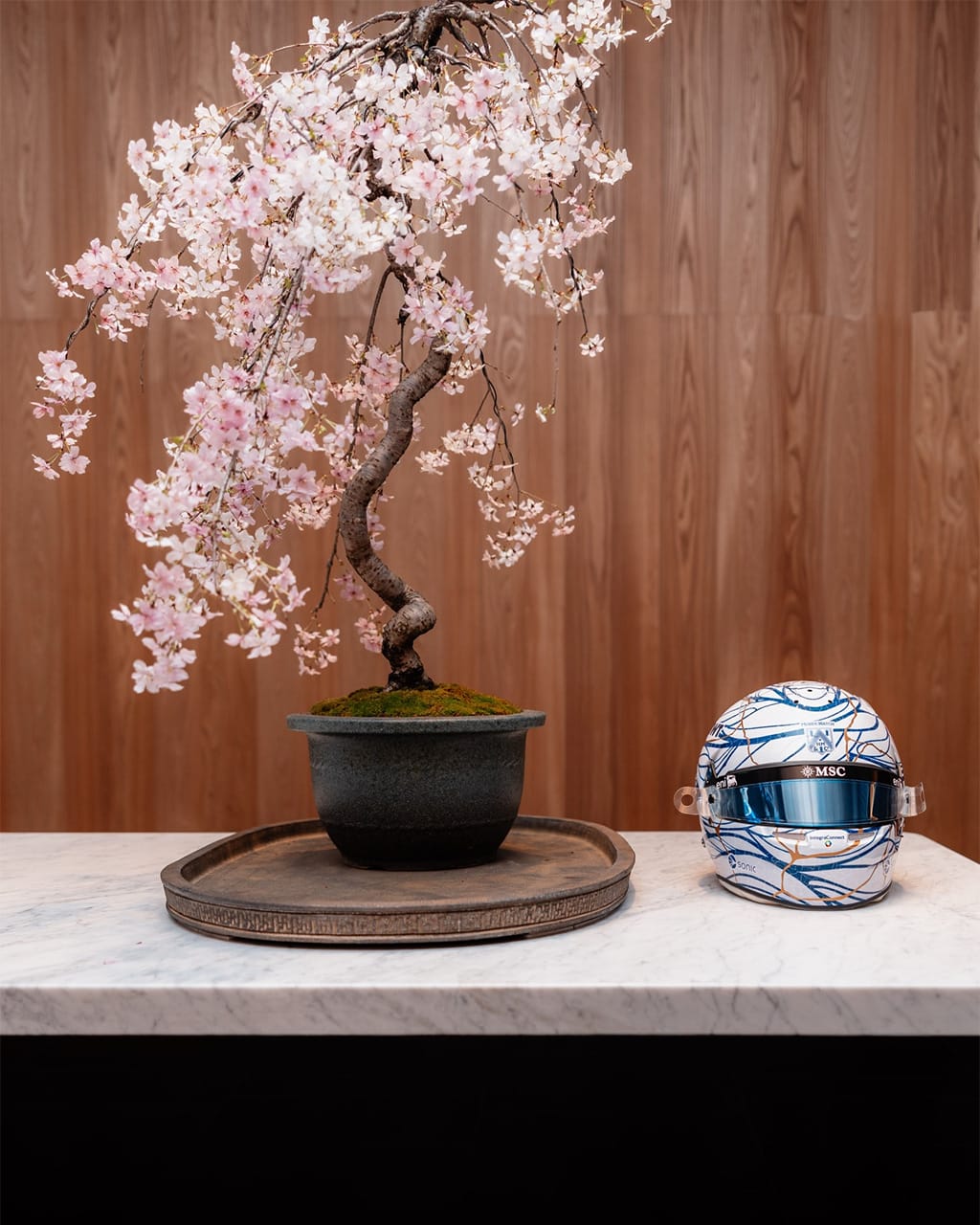 ピエール・ガスリー F1 日本GP