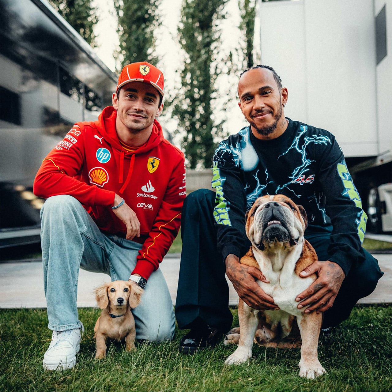 シャルル・ルクレールの愛犬レオとルイス・ハミルトンの愛犬ロスコー