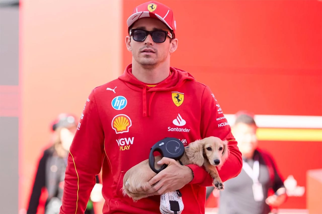 シャルル・ルクレールの愛犬レオがレッドブルF1のガレージ前で“いたずら”